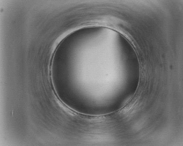 X0000073441535200607281204