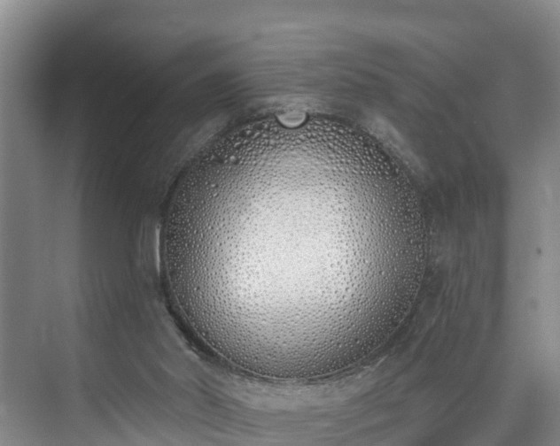 X0000073440014200608041128