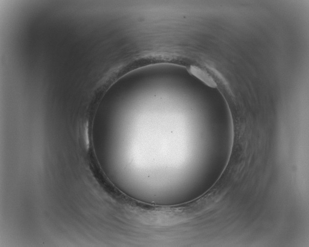 X0000073440020200608041128