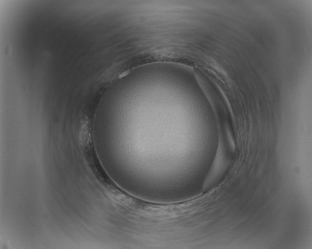 X0000073440029200608041128