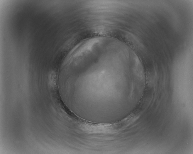 X0000073440036200608041127