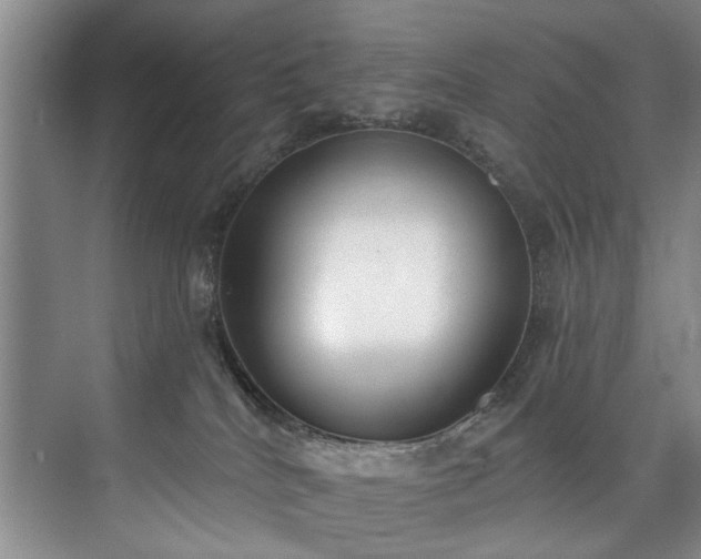 X0000073440040200608041127