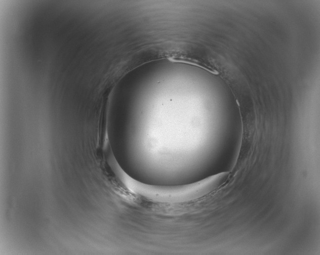 X0000073440041200608041127