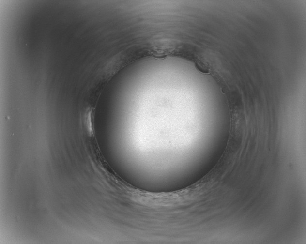 X0000073440042200608041127