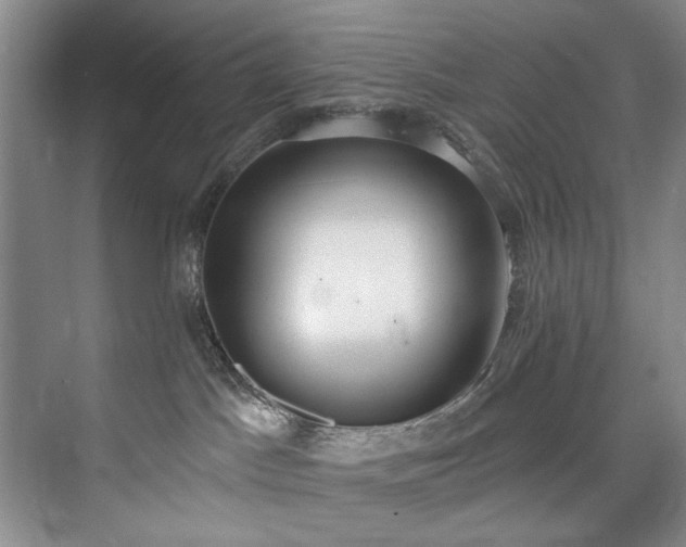 X0000073440045200608041127