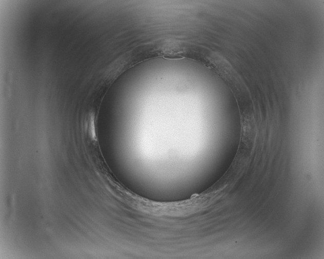 X0000073440046200608041127