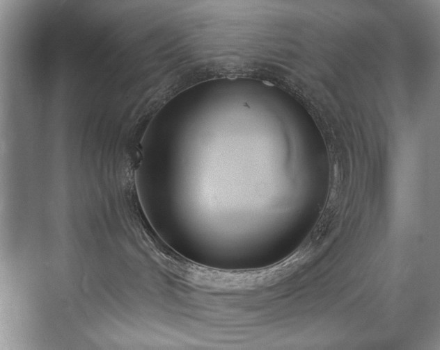 X0000073440048200608041127