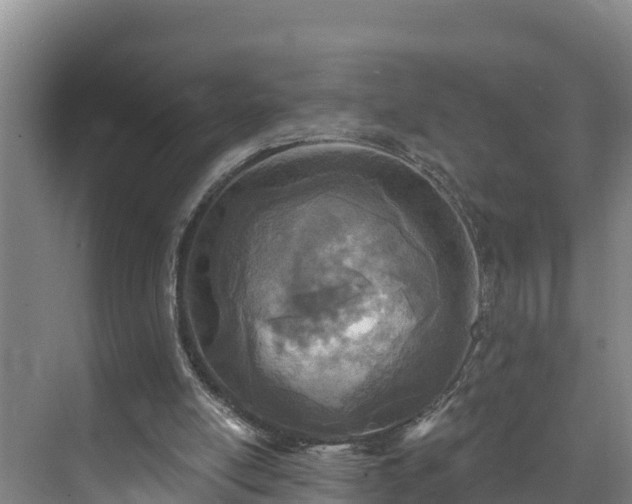 X0000073440054200608041127