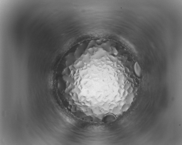 X0000073440065200608041127