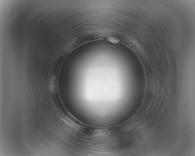 X0000073440077200608041127