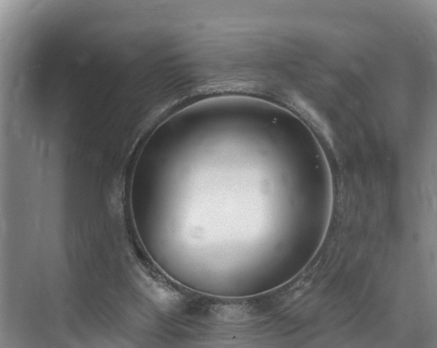 X0000073440107200608041126