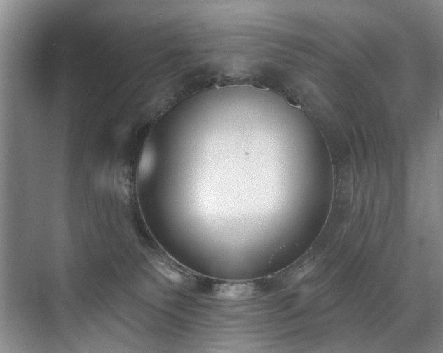 X0000073440135200608041126