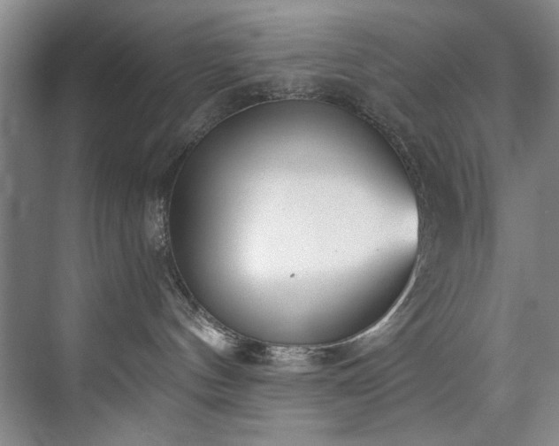 X0000073440144200608041126