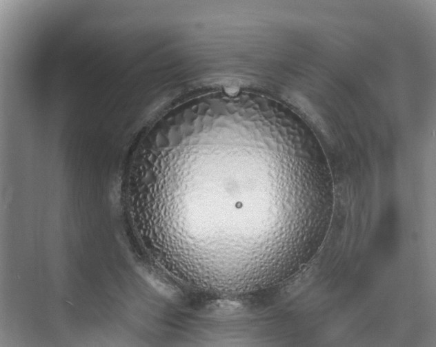 X0000073440159200608041125