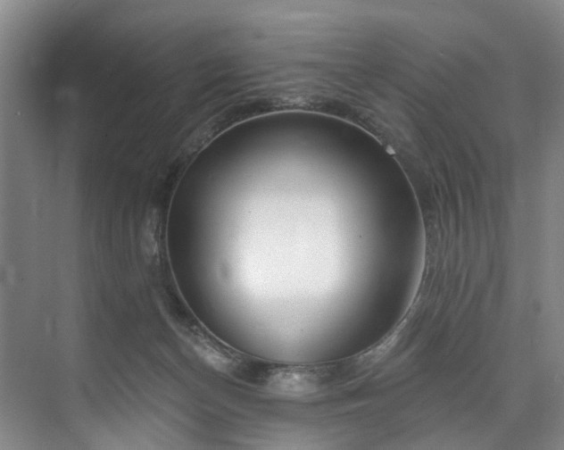 X0000073440174200608041125