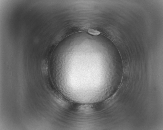 X0000073440179200608041125