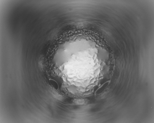 X0000073440181200608041125