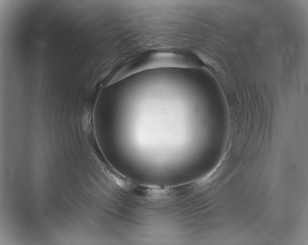 X0000073440192200608041126