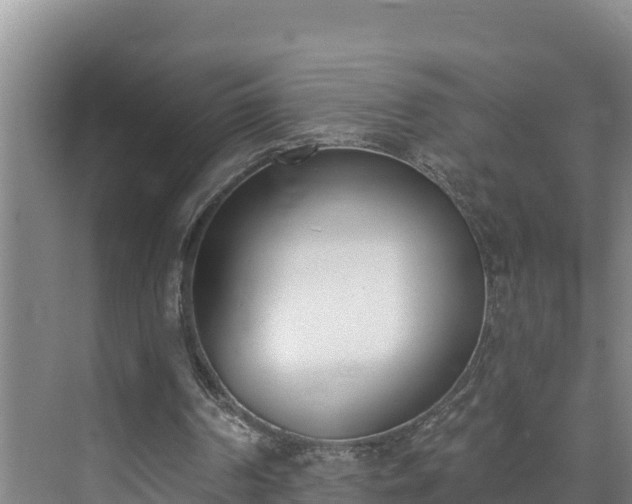 X0000073440194200608041125