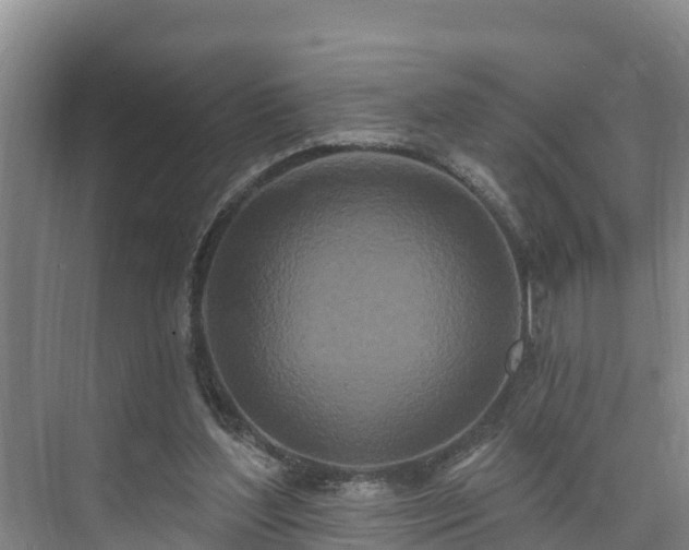 X0000073440204200608041125