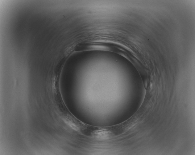 X0000073440219200608041124