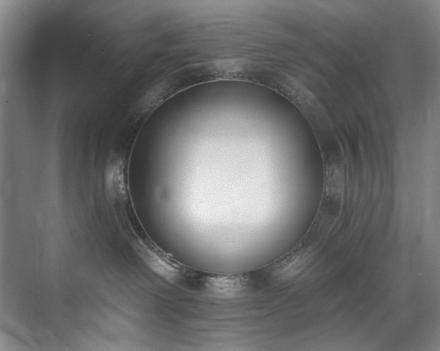 X0000073440238200608041124