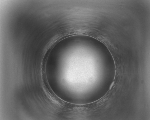 X0000073440242200608041123