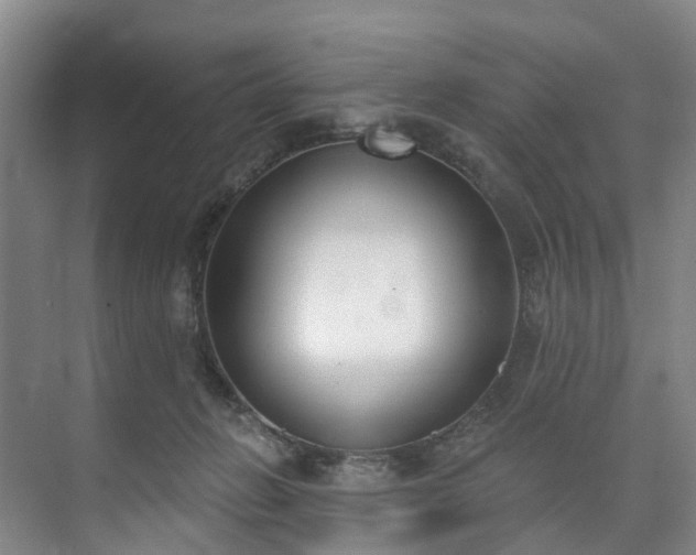 X0000073440270200608041124