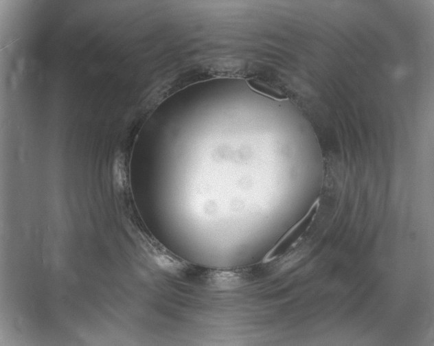 X0000073440287200608041124