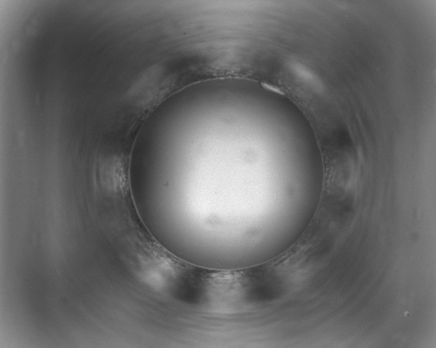 X0000073440335200608041122