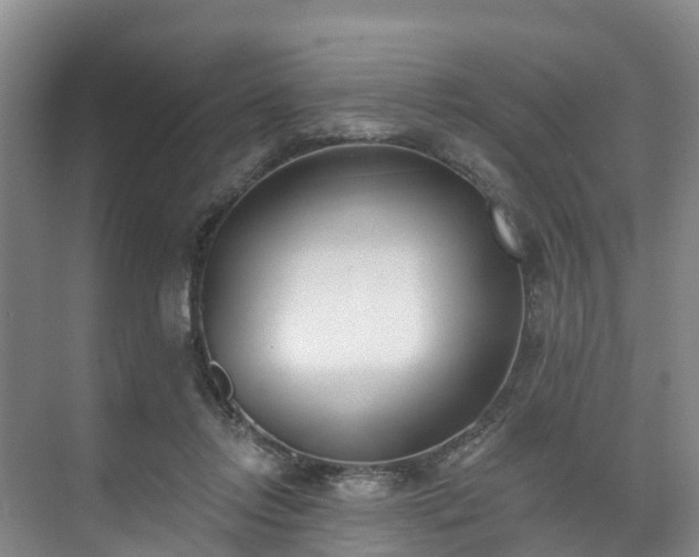 X0000073440358200608041122