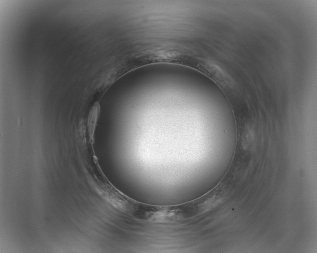 X0000073440366200608041122