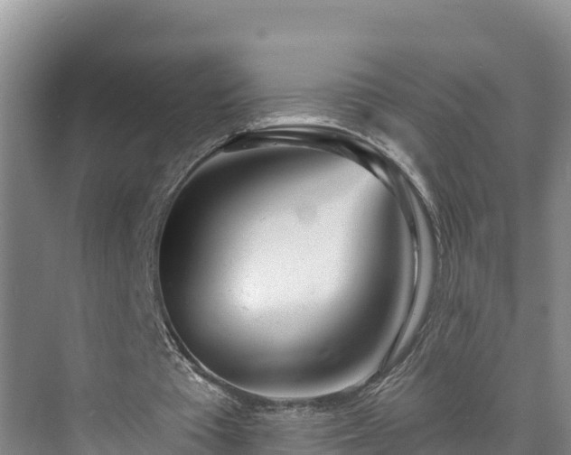 X0000073440385200608041122