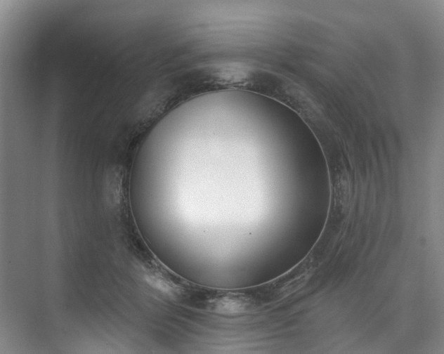 X0000073440412200608041121