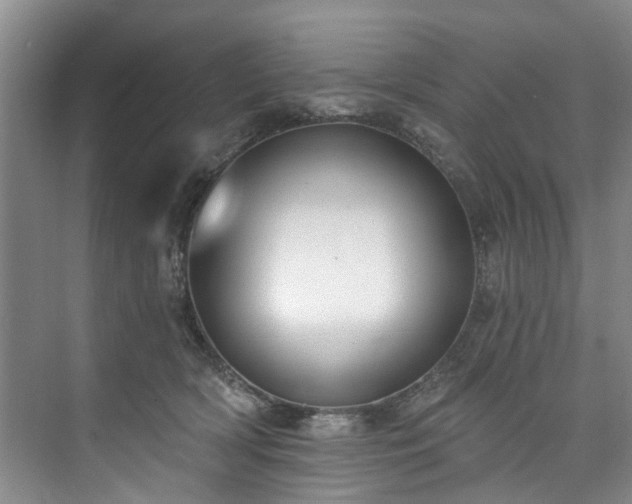 X0000073440418200608041121