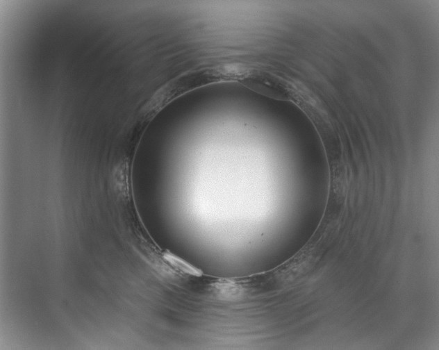 X0000073440425200608041121
