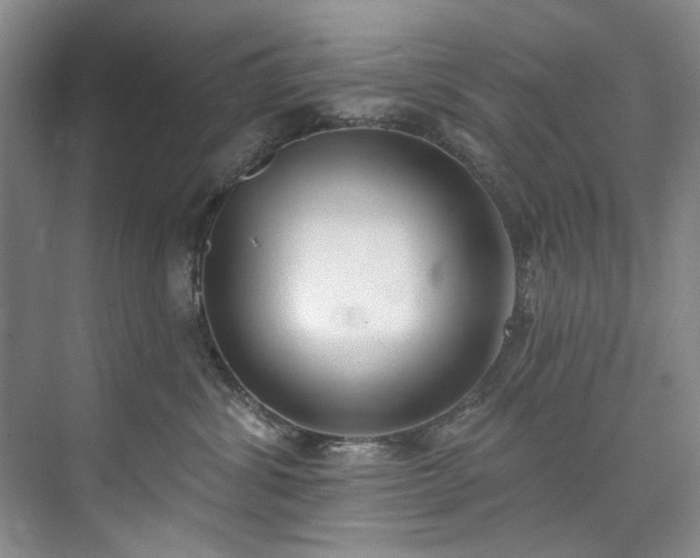 X0000073440428200608041121