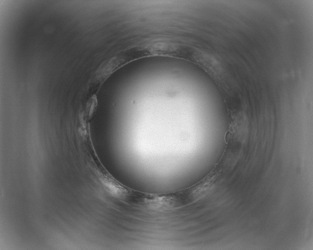 X0000073440430200608041121