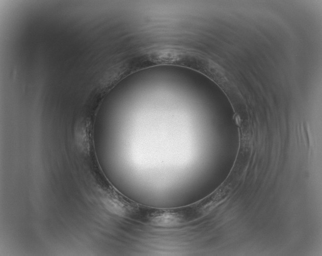 X0000073440460200608041120