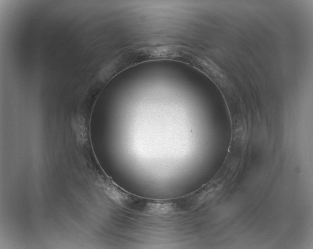 X0000073440469200608041121