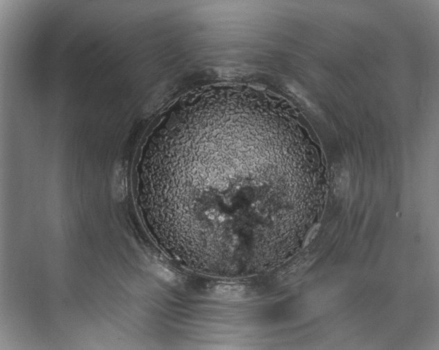 X0000073440471200608041121