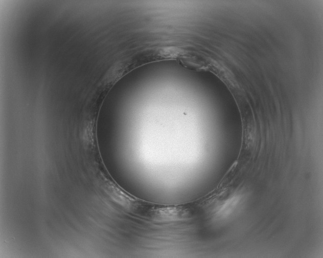 X0000073440473200608041121