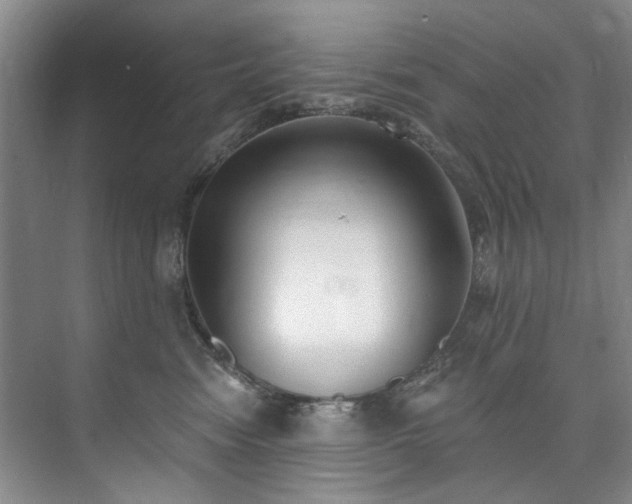 X0000073440474200608041121
