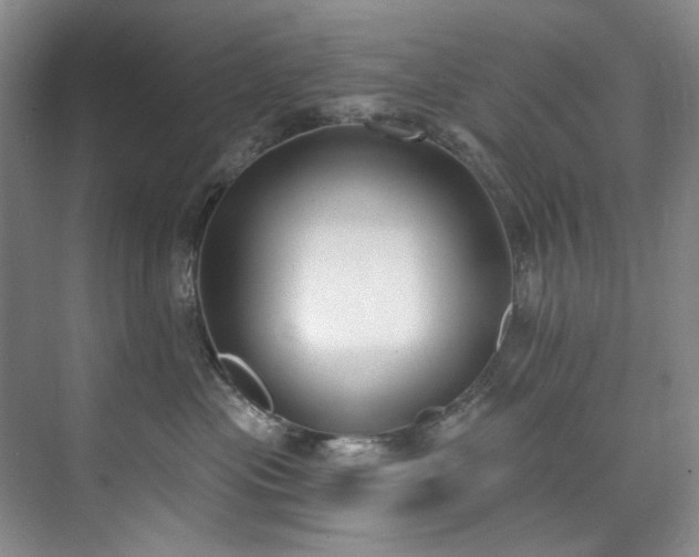 X0000073440477200608041121