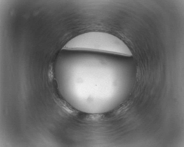 X0000073440479200608041121