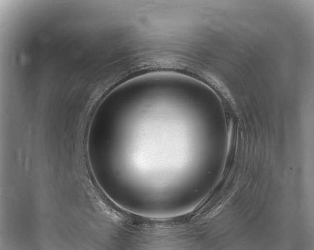 X0000073440481200608041120