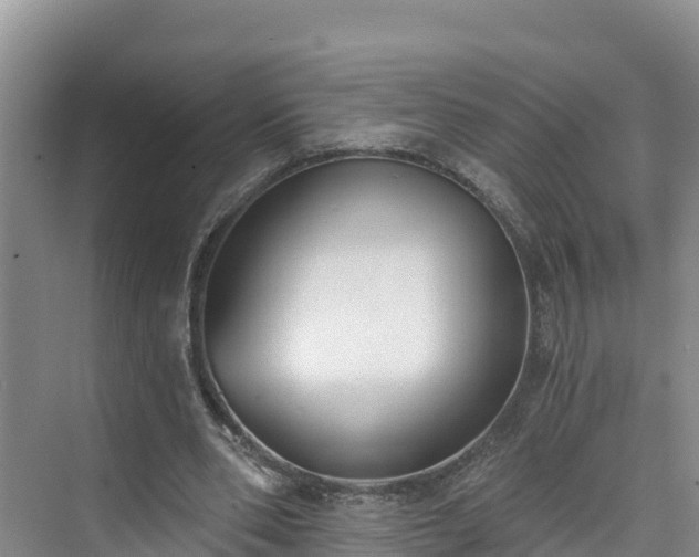 X0000073440486200608041120