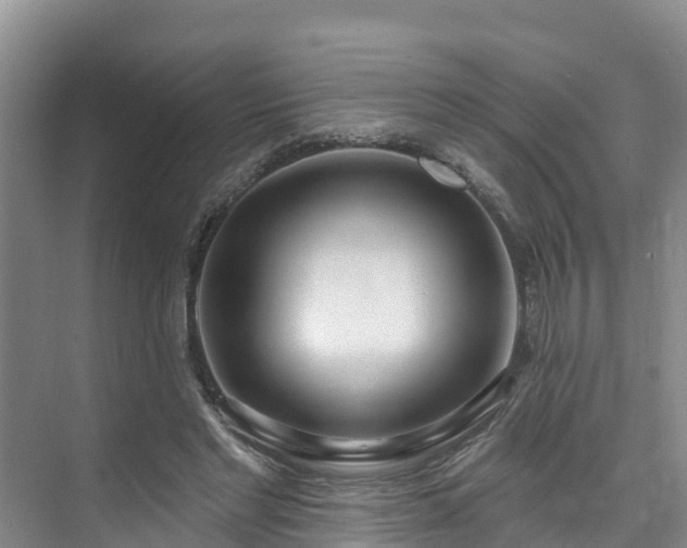 X0000073440493200608041120