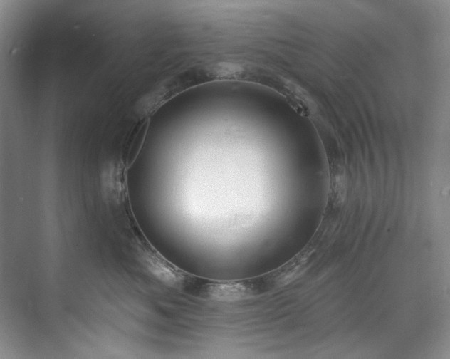 X0000073440525200608041119