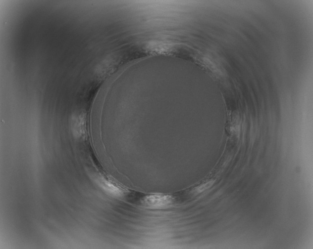 X0000073440526200608041119